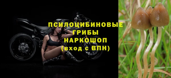 прущая мука Арсеньев