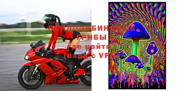 прущая мука Арсеньев